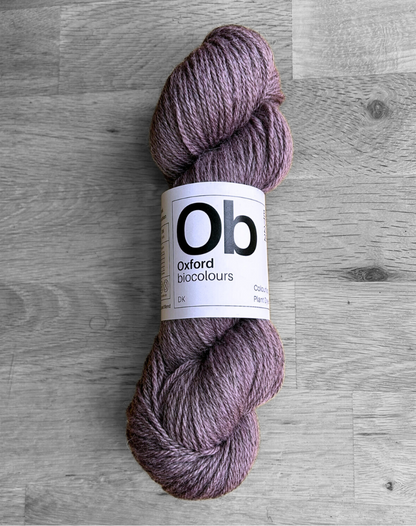 Cambium Dusk