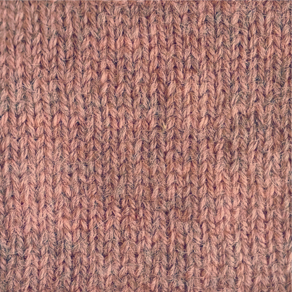 Meristem Ember