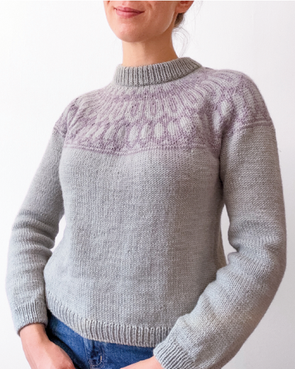 Bodley sweater bundle