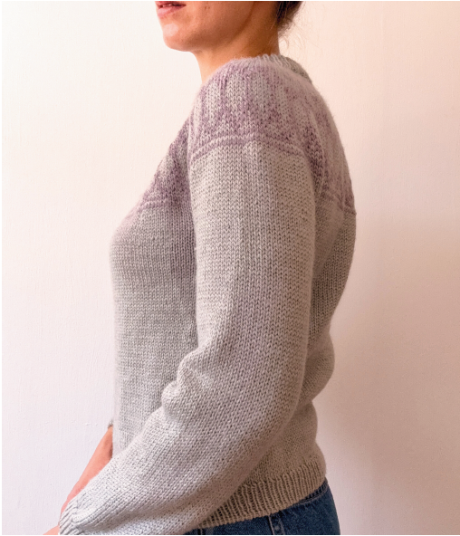 Bodley sweater bundle
