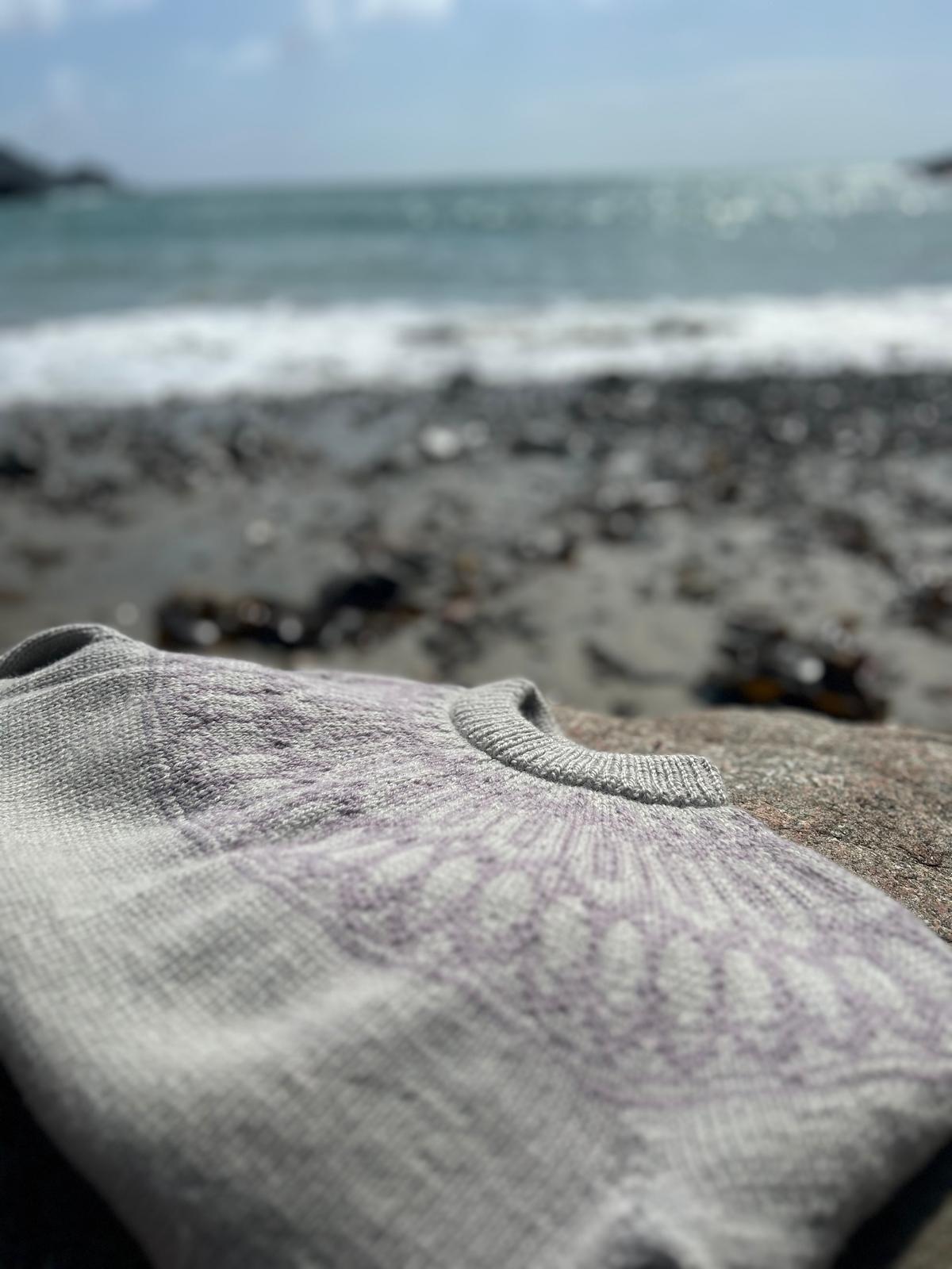 Bodley sweater bundle