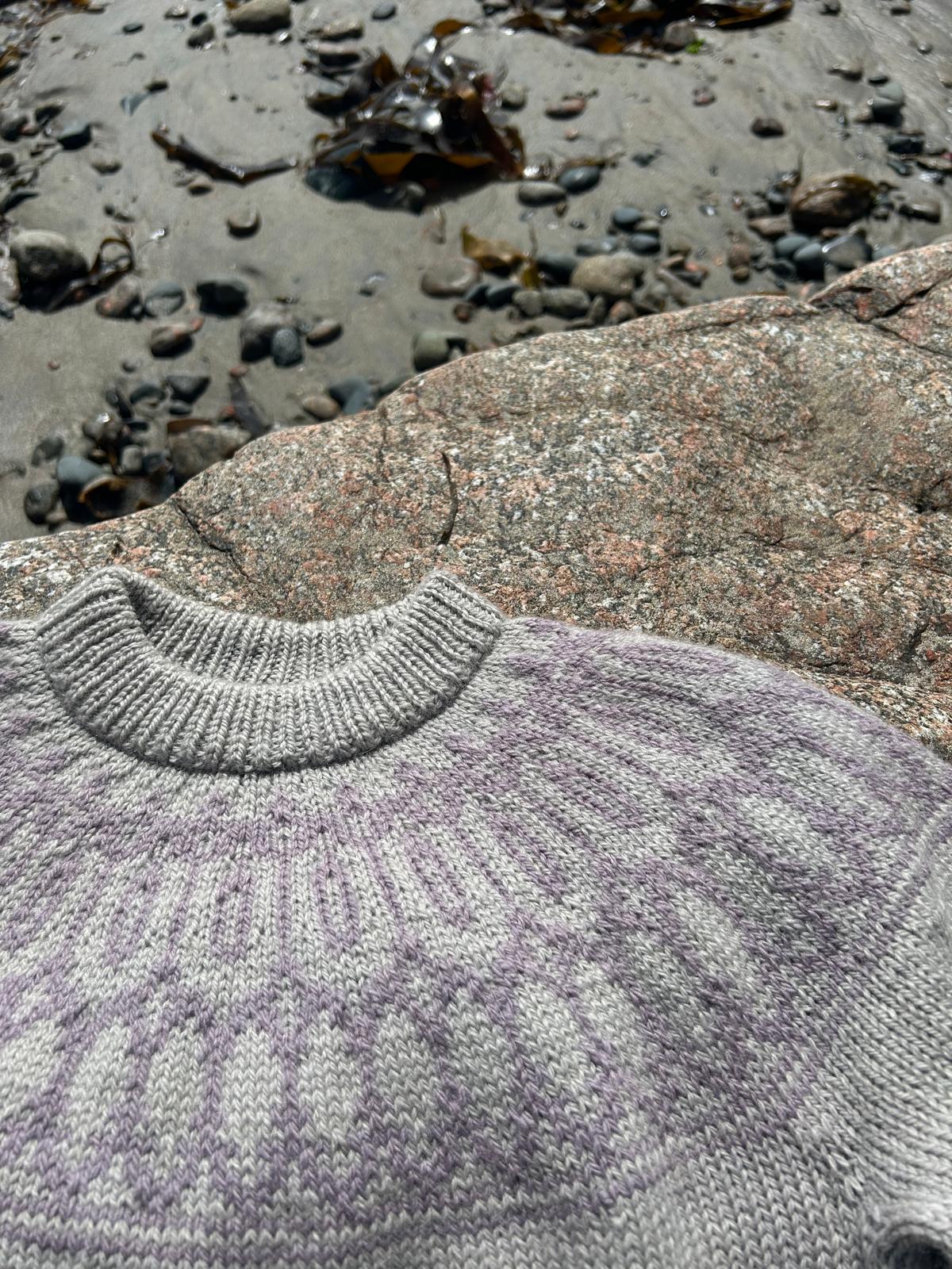 Bodley sweater bundle