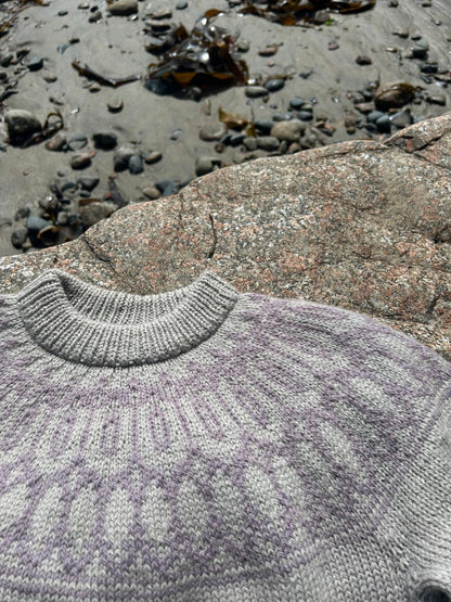 Bodley sweater bundle