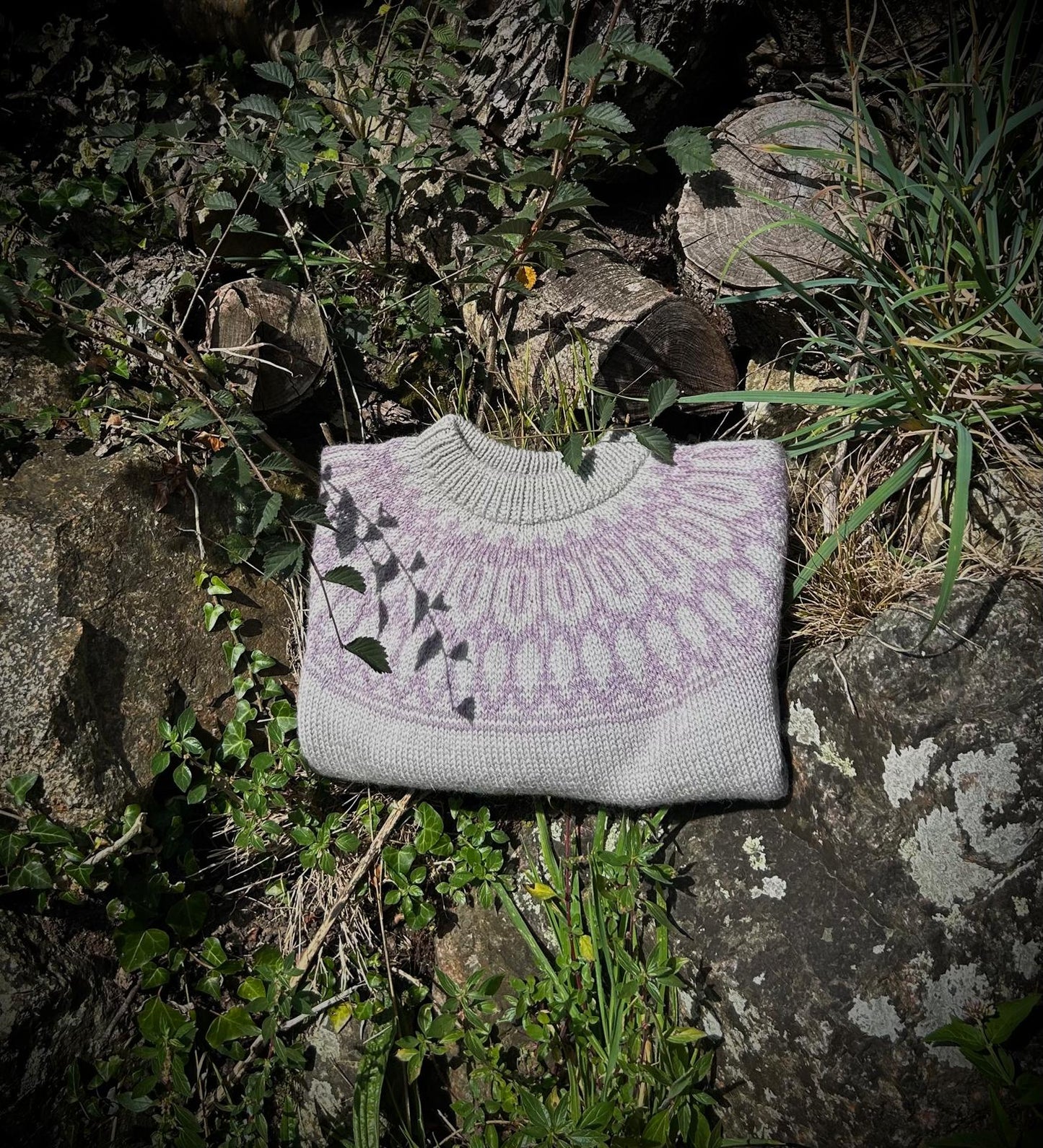 Bodley sweater bundle